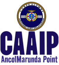 CAAIP